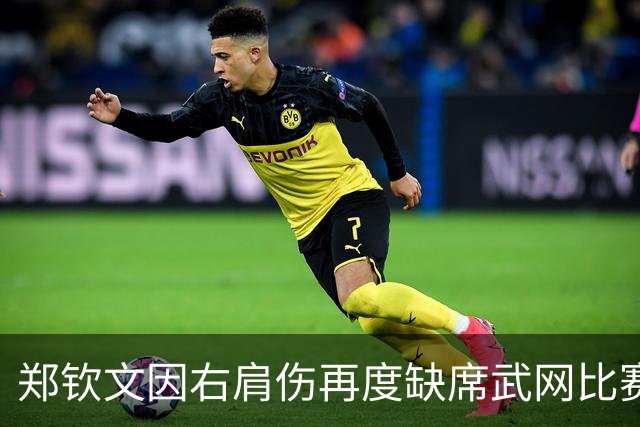 郑钦文因右肩伤再度缺席武网比赛 追忆往昔夺冠时光